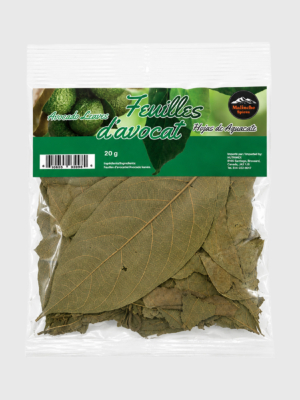 flor de aguacate Flor De Aguacate